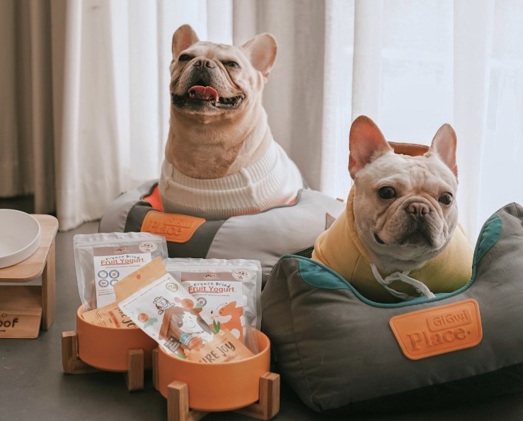 บ้านพักสัตว์เลี้ยงพรีเมียม